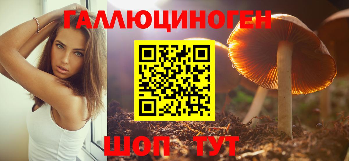 Галлюциногенные грибы мухоморы  Вход с VPN  Сухой Лог 